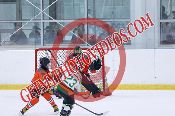 _63A9764_11 05 am - 2014 - Shamrock Selects vs River Rat Hockey - Sel