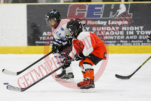 _63A1475_11 45 am - U8LL2 - West Niagara Leafs vs Wainfleet Wild - YELLOW B