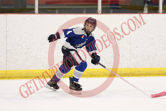 _63A1848_1 00 pm - U12 A - Sudbury Wolves vs Newmarket Renegades - Atlas