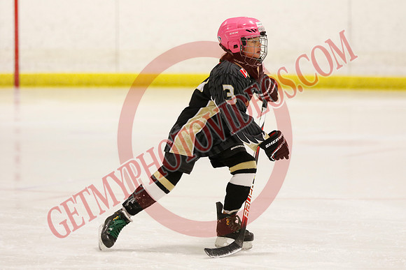 _63A4519