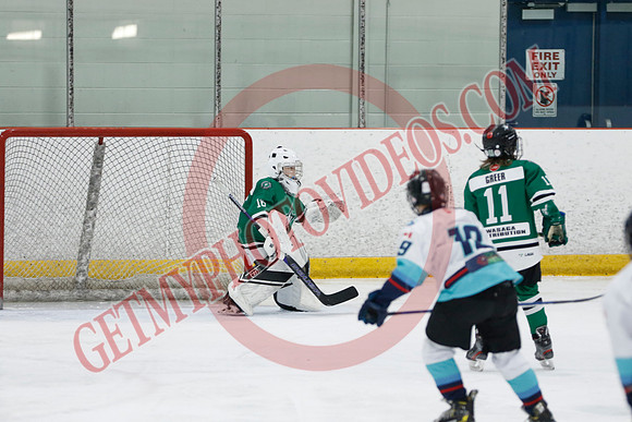 _63A8921_1 45 pm - U11B - Wasaga Stars vs South Simcoe Storm - NewRoads