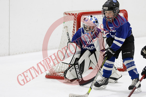 _63A7738_11 00 am - U7D2 - Port Colborne Blue vs Cayuga Stars Green - GREEN A