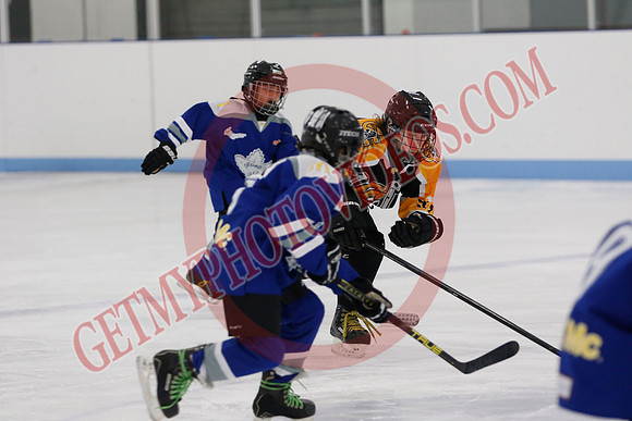 _63A5988_9 00 am - Campbellford Colts Yellow vs Orono Leafs Team 1