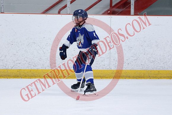 _63A8594_10 15 am - U12A - Collingwood Jr Blues vs Sudbury Wolves - NewRoads