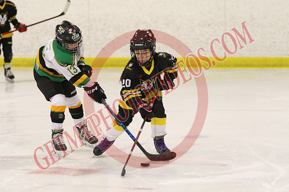 7Z7A0597_10 00 am – LL1 – Thamesford vs Paris – Kinsmen