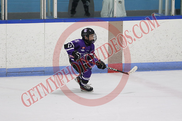 20240531-27878_7 05 pm - U12A - London Jr Mustangs White vs Welland Tigers - CC