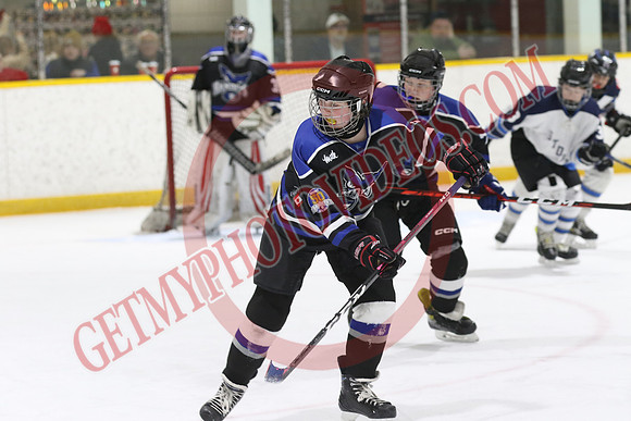 7Z7A8590_1 50 pm - U15LL - Beverly Bandits vs Saugeen Shores Storm - Ingersoll