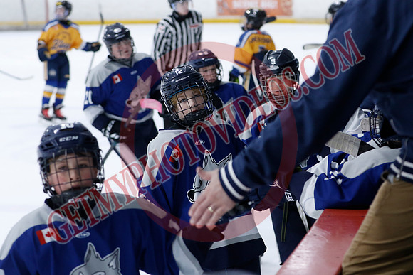 _63A0308_10 15 am - U12A - Collingwood Jr Blues vs Sudbury Wolves - NewRoads