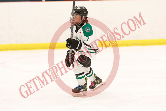 _63A3770_4 30 pm - U11B - Upper York Admirals vs Wasaga Stars - Atlas