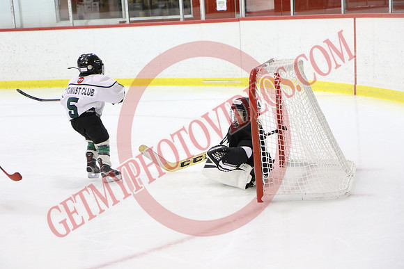 1C2A6975