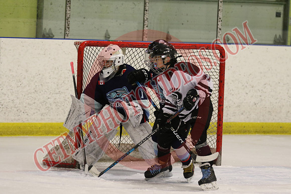 7Z7A3371_7 45 pm – U13 PB – Saugeen Valley Steelheads 2 vs Tillsonburg Tornadoes 2 – Kinsmen