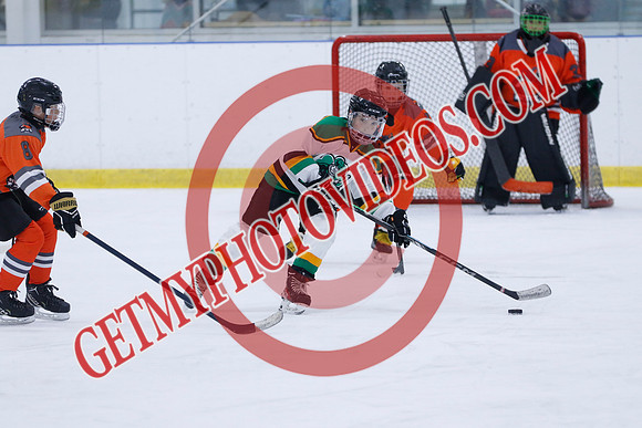 _63A9687_11 05 am - 2014 - Shamrock Selects vs River Rat Hockey - Sel