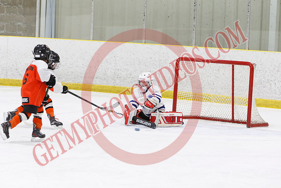 _63A1422_11 45 am - U8LL2 - West Niagara Leafs vs Wainfleet Wild - YELLOW B