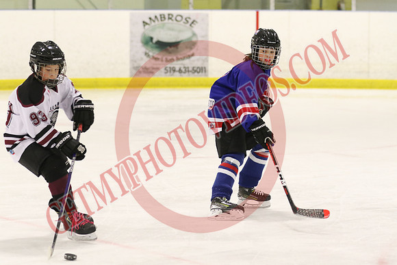20241116-29980_12 15 pm – U11 PB – Belmont Rangers vs Tillsonburg Tornadoes 2 – Kinsmen