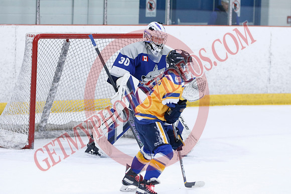 _63A0099_10 15 am - U12A - Collingwood Jr Blues vs Sudbury Wolves - NewRoads