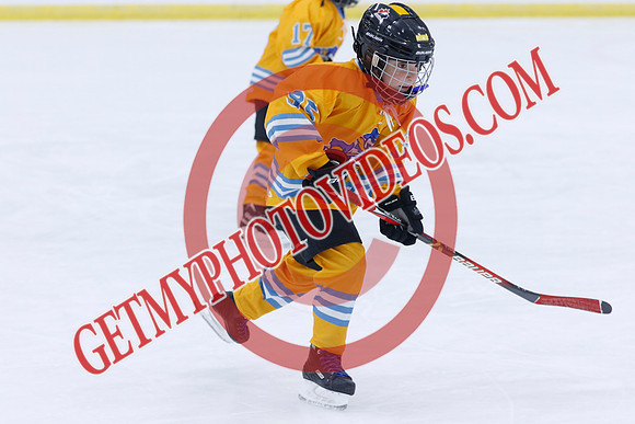 _63A0883_7 30 am - 2018 - RELM Wranglers Pascoal vs River Rat Hockey - Des