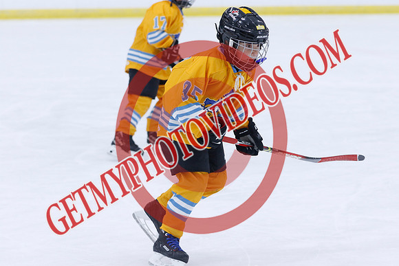 _63A0884_7 30 am - 2018 - RELM Wranglers Pascoal vs River Rat Hockey - Des