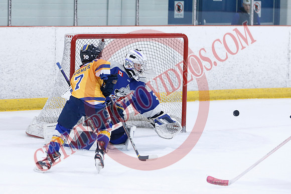_63A0104_10 15 am - U12A - Collingwood Jr Blues vs Sudbury Wolves - NewRoads