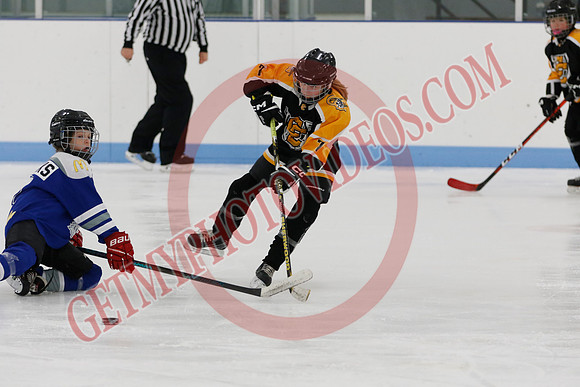 _63A6092_9 00 am - Campbellford Colts Yellow vs Orono Leafs Team 1