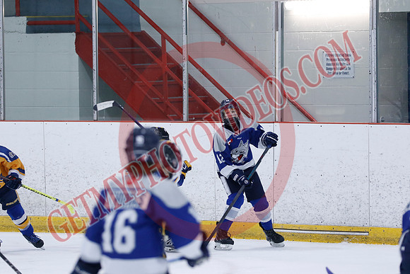 _63A8251_10 15 am - U12A - Collingwood Jr Blues vs Sudbury Wolves - NewRoads
