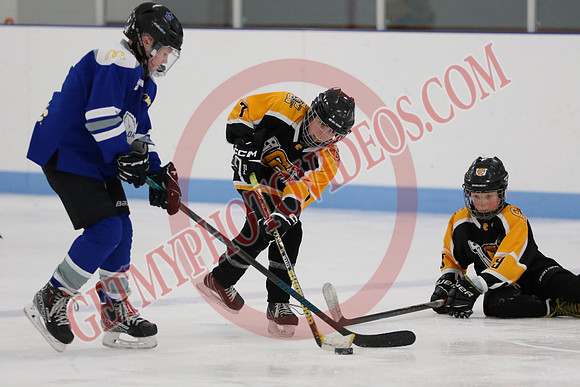 _63A6165_9 00 am - Campbellford Colts Yellow vs Orono Leafs Team 1