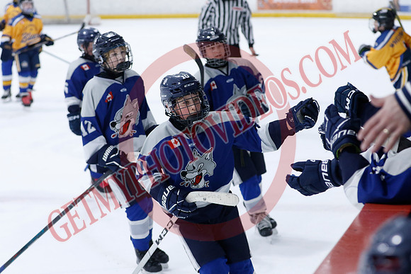 _63A0305_10 15 am - U12A - Collingwood Jr Blues vs Sudbury Wolves - NewRoads