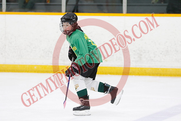 _63A2733_9 00 am - U11 - Millbrooks Stars vs Quite West World Elite Hockey Academy - Pad B