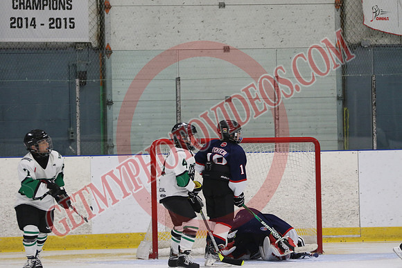 7Z7A0111_5 50 pm – U13 – Mt Brydges Cougars Red vs Pelham Panthers 2 – Tri