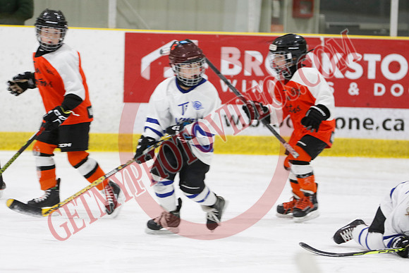 _63A1462_11 45 am - U8LL2 - West Niagara Leafs vs Wainfleet Wild - YELLOW B