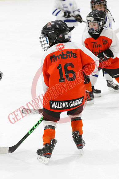 _63A1398_11 45 am - U8LL2 - West Niagara Leafs vs Wainfleet Wild - YELLOW B