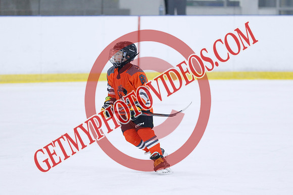 _63A9752_11 05 am - 2014 - Shamrock Selects vs River Rat Hockey - Sel