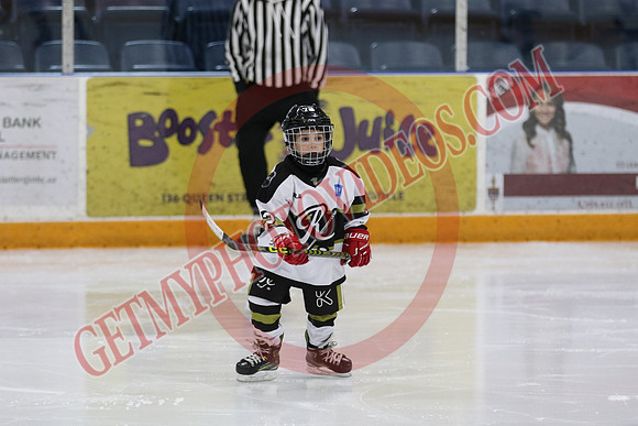 7Z7A0082