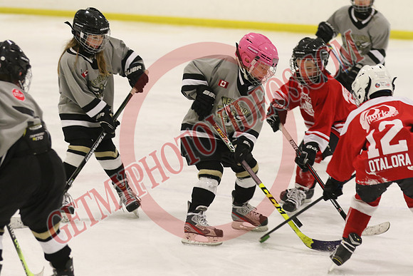 7Z7A1153