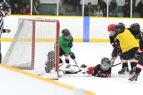 7Z7A1503