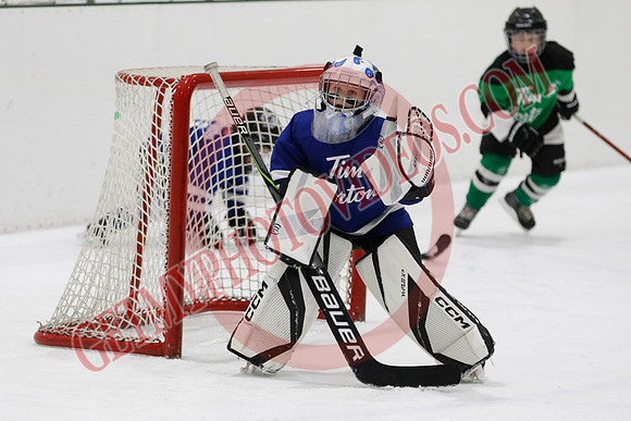 _63A7611_11 00 am - U7D2 - Port Colborne Blue vs Cayuga Stars Green - GREEN A