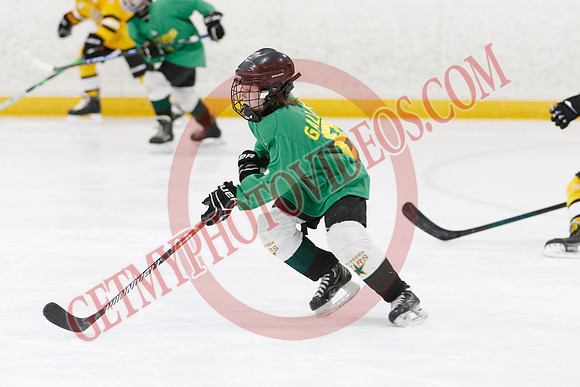 _63A2865_9 00 am - U11 - Millbrooks Stars vs Quite West World Elite Hockey Academy - Pad B