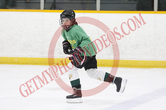 _63A2732_9 00 am - U11 - Millbrooks Stars vs Quite West World Elite Hockey Academy - Pad B