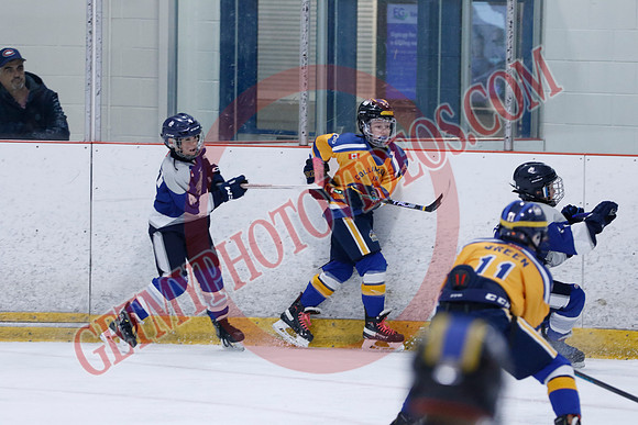 _63A8595_10 15 am - U12A - Collingwood Jr Blues vs Sudbury Wolves - NewRoads