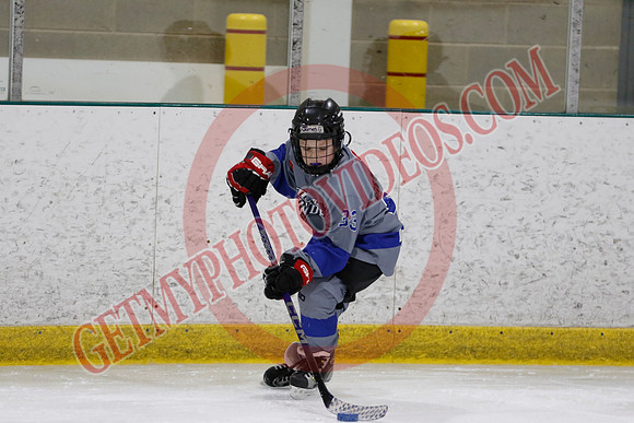_63A9517_9 00 am - U8LLD1 - Welland Tigers Green vs Caledonia Thunder - GREEN B