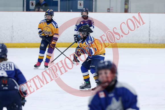 _63A8246_10 15 am - U12A - Collingwood Jr Blues vs Sudbury Wolves - NewRoads