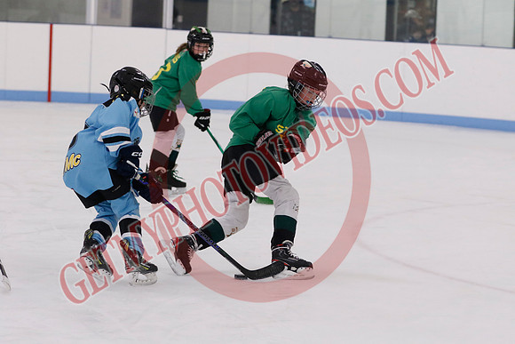_63A4088_8 00 am - U11HL - Millbrook Stars Gold vs Orono Leafs Team 3