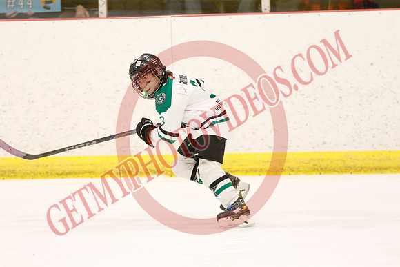 _63A4339_4 30 pm - U11B - Upper York Admirals vs Wasaga Stars - Atlas