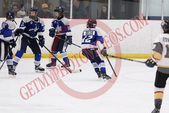 _63A7885_4 40 pm - U12A - Sudbury Wolves vs West Niagara Flying Aces - Atlas