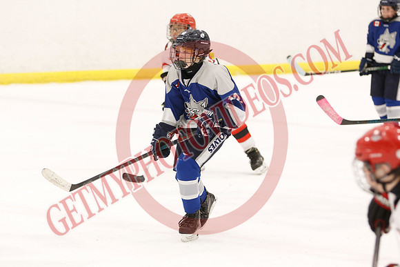 _63A2455_1 00 pm - U12 A - Sudbury Wolves vs Newmarket Renegades - Atlas