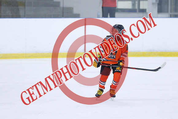 _63A9748_11 05 am - 2014 - Shamrock Selects vs River Rat Hockey - Sel