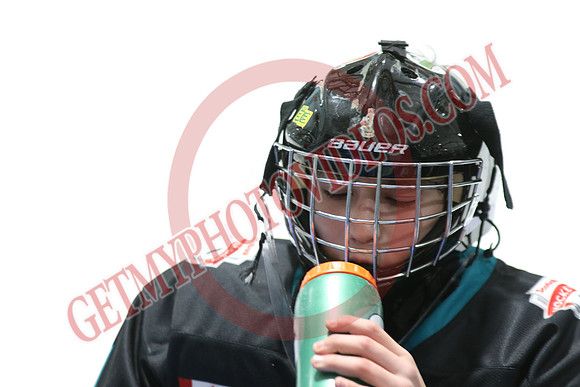 1C2A8278