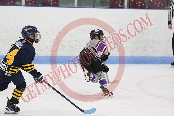 20240601-51611_1 25 pm – U12 A – Erie North Shore Storm vs London Jr Mustangs White – Memorial