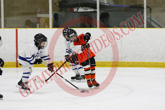 _63A2121_11 45 am - U8LL2 - West Niagara Leafs vs Wainfleet Wild - YELLOW B