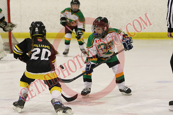 7Z7A1207_10 00 am – LL1 – Thamesford vs Paris – Kinsmen