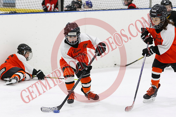 _63A1296_9 15 am - U8LL2 - Wainfleet Wild vs Waterford - BLUE A